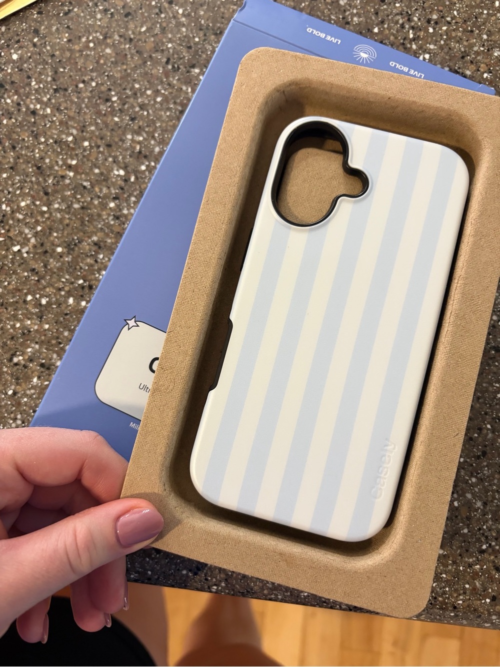 Casely Blue and White Stripe “Sunday Best” Protective MagSafe iPhone 17 Case